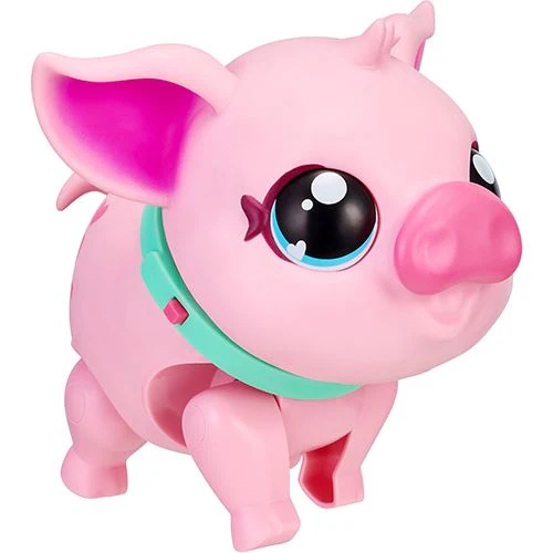 Imagem do produto 5